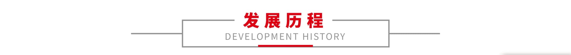 发展历程1
