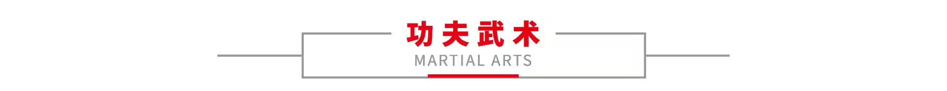 功夫武术 1